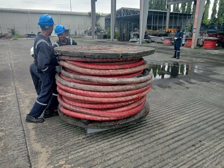 a92f7c18-a29b-4ece-8afe-1b313fea3c6d